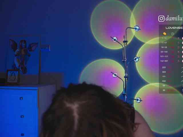 damilui webcam