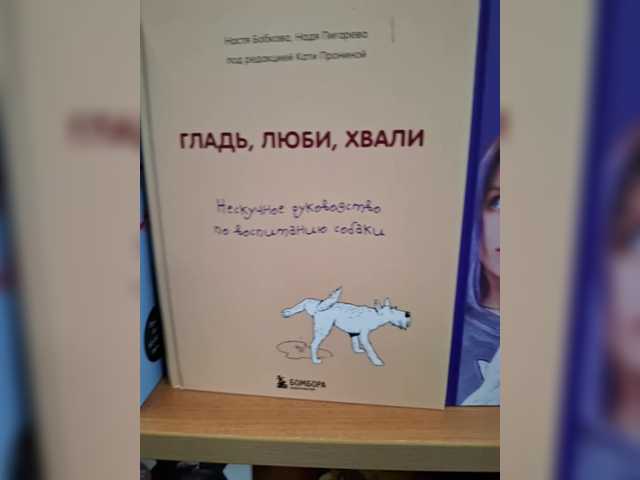 Accedi alla chat con il nickname DIVORA DIVORA