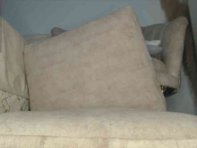 Trissabenson webcam