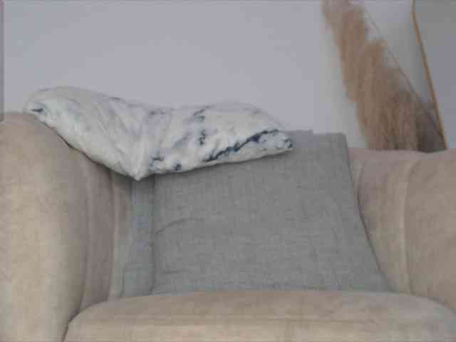 Trissabenson webcam
