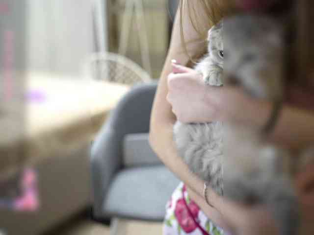 tinykisa webcam