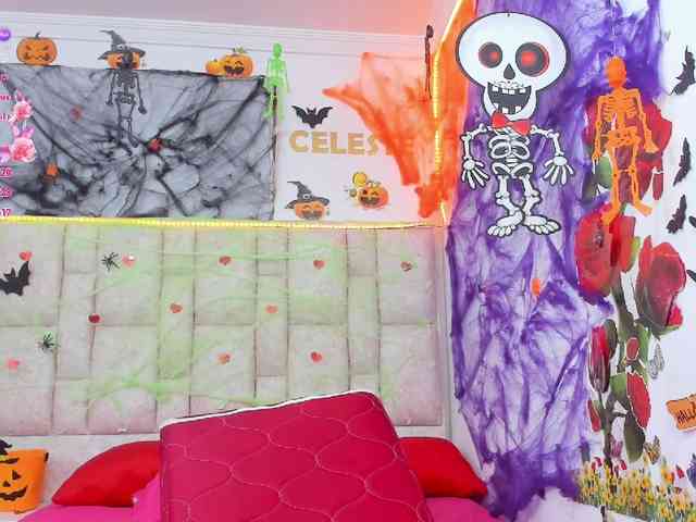 Celeste-Linco webcam