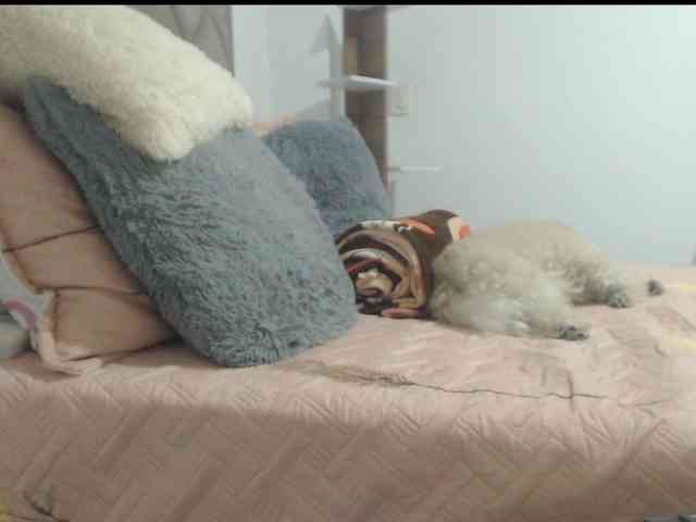 Seiya5 webcam