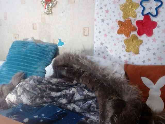 LanaStar1 webcam