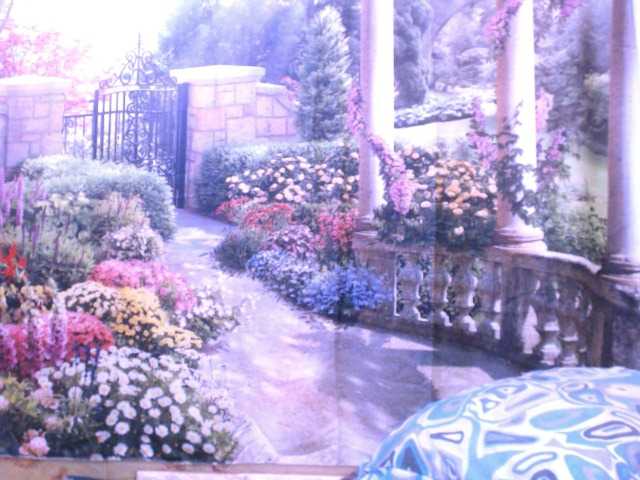 Indianstar75 webcam