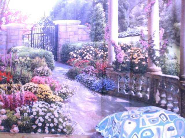 Indianstar75 webcam