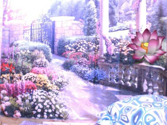 Indianstar75 webcam