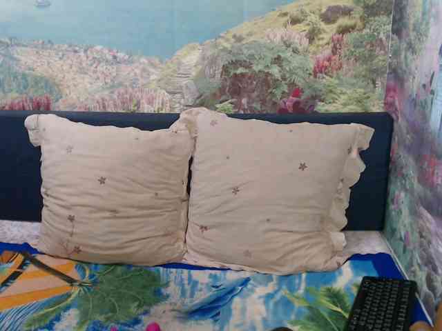 Indianaqua webcam