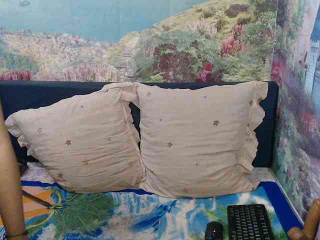Indianaqua webcam