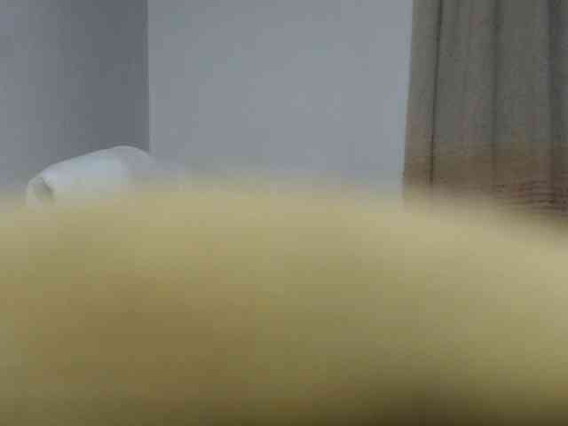 agathamiller webcam