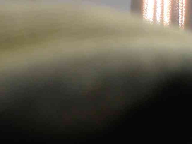 agathamiller webcam