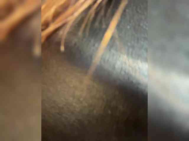 Marianna_ webcam