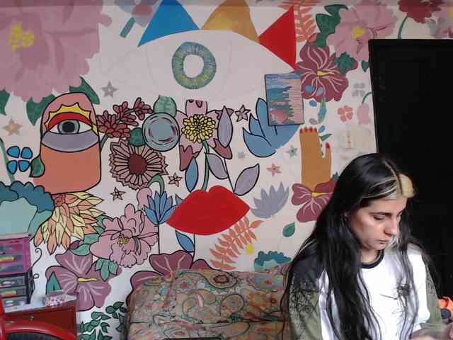 theplayful webcam