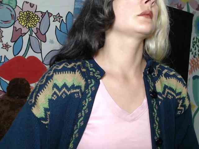 theplayful webcam