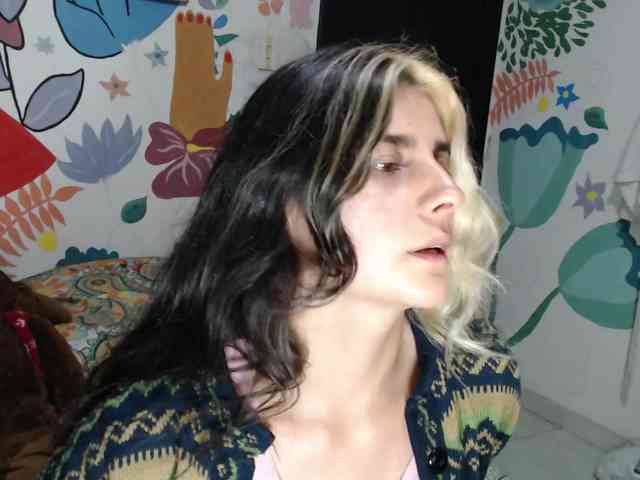 theplayful webcam