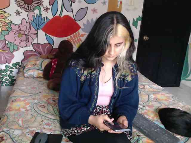 theplayful webcam