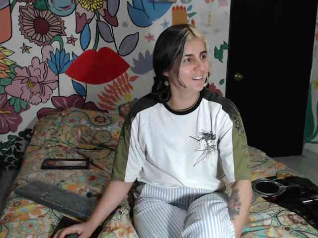 theplayful webcam