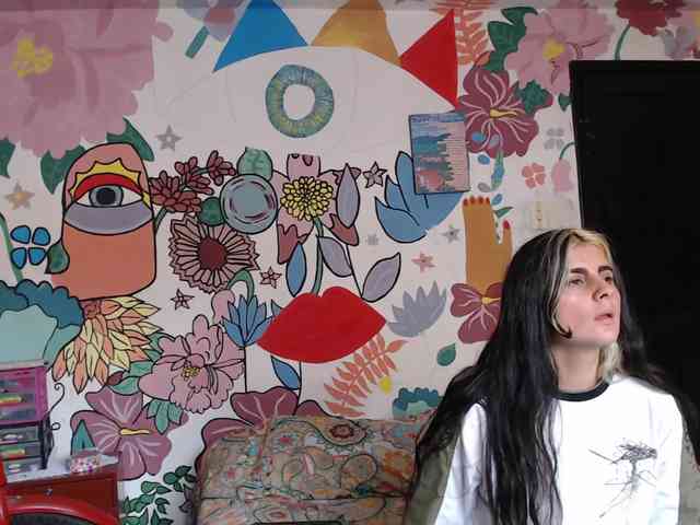 theplayful webcam