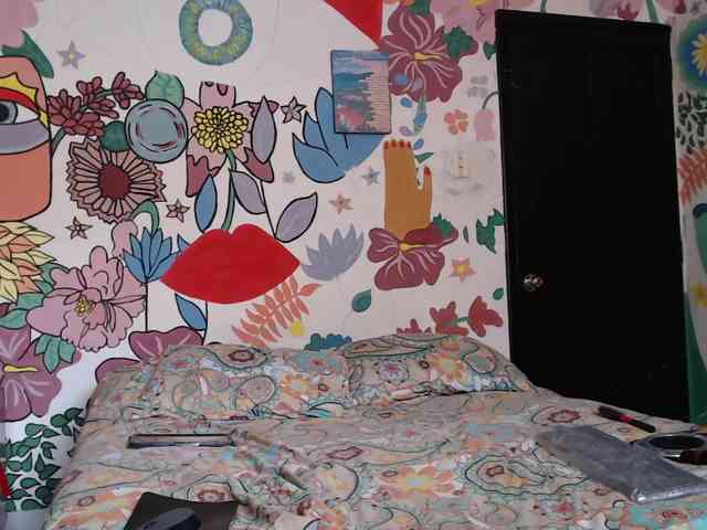theplayful webcam