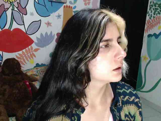 theplayful webcam