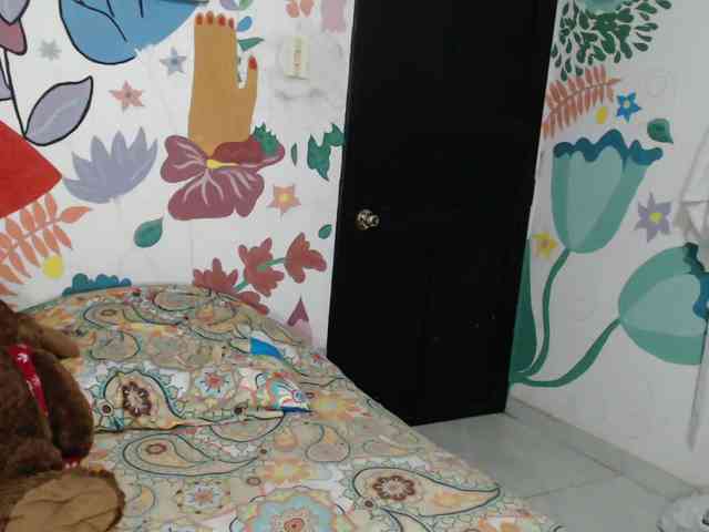 theplayful webcam