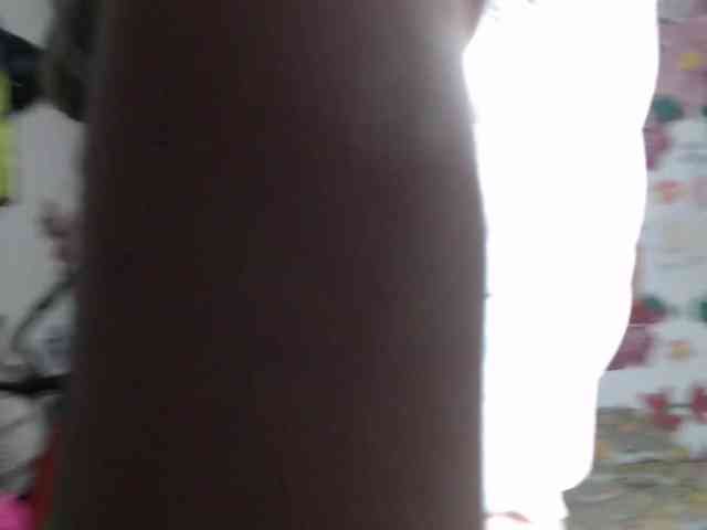 theplayful webcam