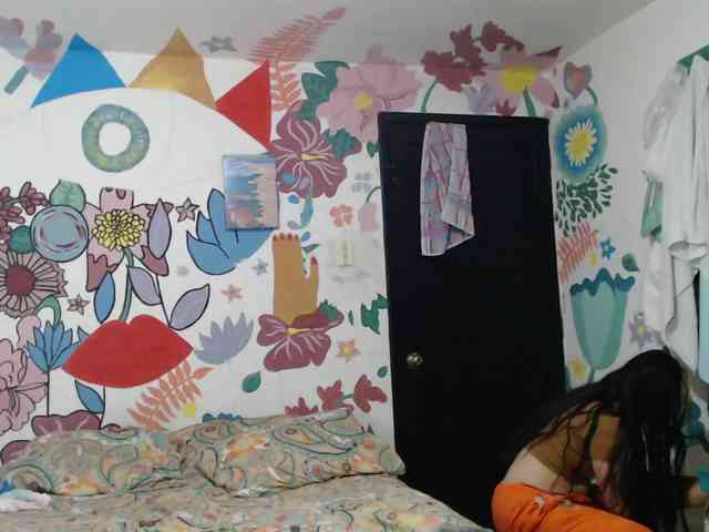 theplayful webcam