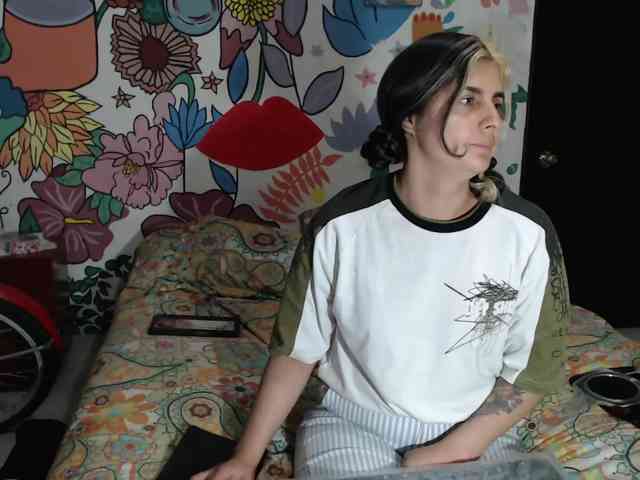 theplayful webcam