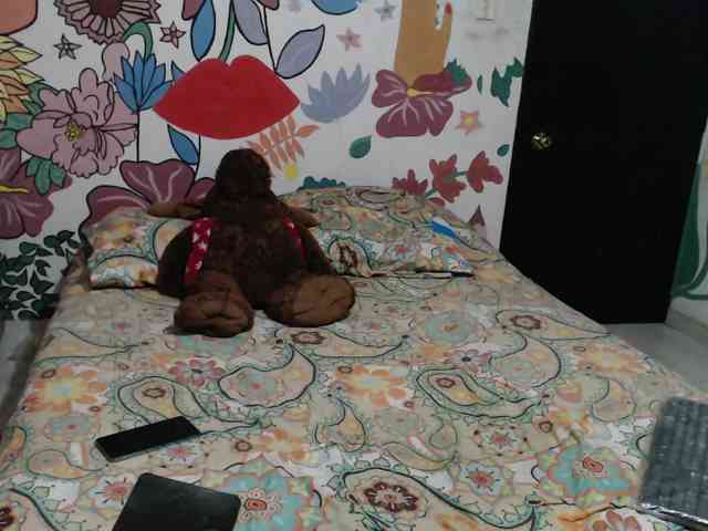 theplayful webcam
