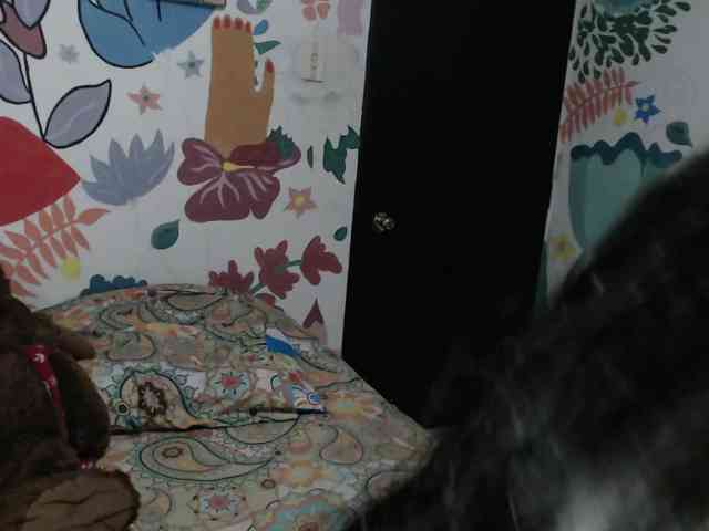 theplayful webcam