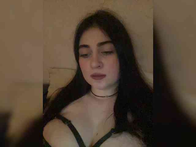 your_other_half webcam