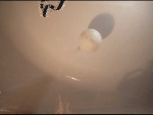 go to chat with HeyBanana