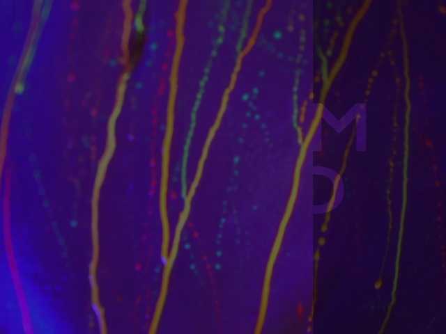 Accedi alla chat con il nickname HeyBanana HeyBanana