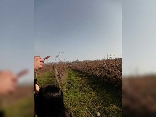 ___Pypsiki___ ___Pypsiki___