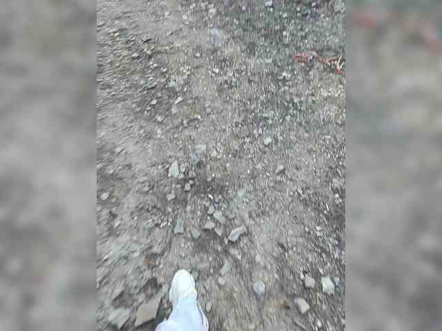 ___Pypsiki___ webcam