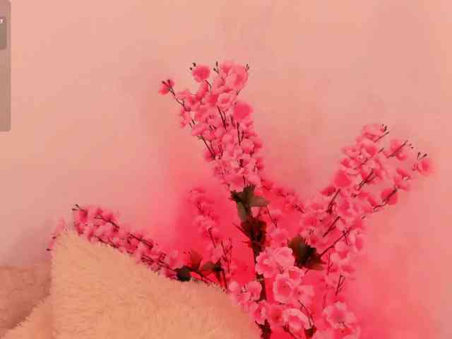 MinnaHeart webcam