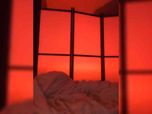 Koshka_Kivi webcam