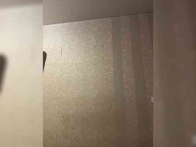 sladkaya_bulochka webcam