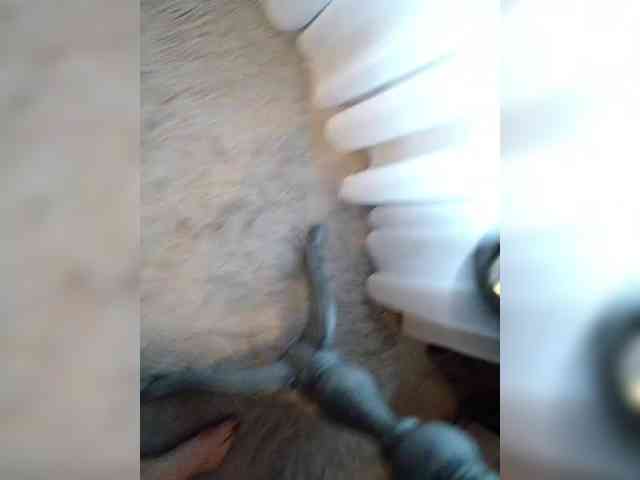 Koshecka77 webcam