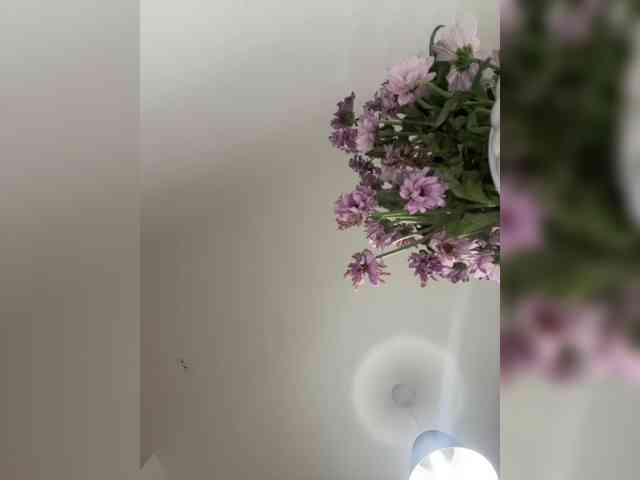 mimo_prohodite webcam