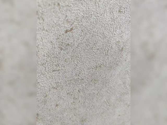 Entra en el chat con el modelo Angelia22 Angelia22