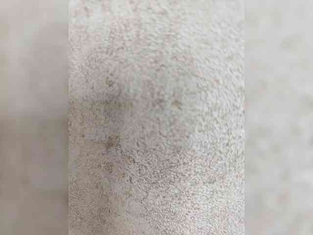 Angelia22 webcam