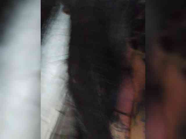 Koks69Skvirt webcam