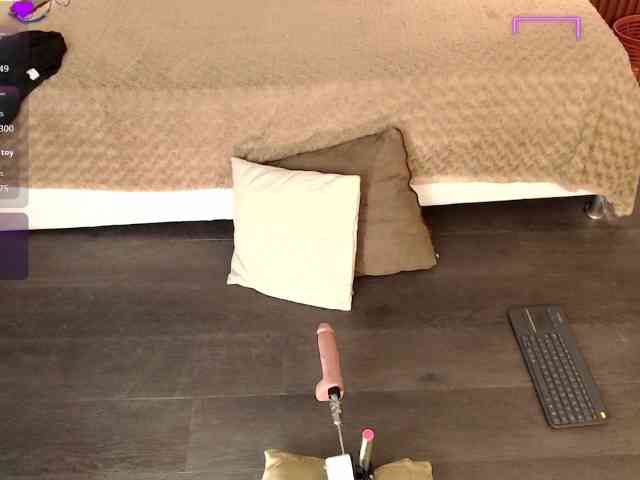 kristal-20 webcam