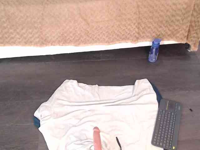 kristal-20 webcam