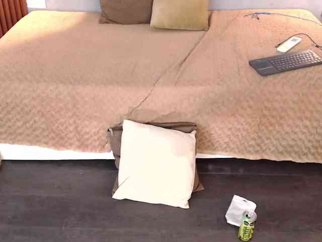 kristal-20 webcam
