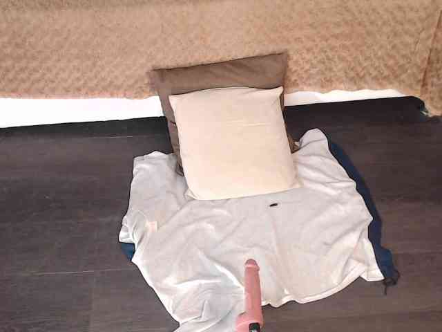 kristal-20 webcam