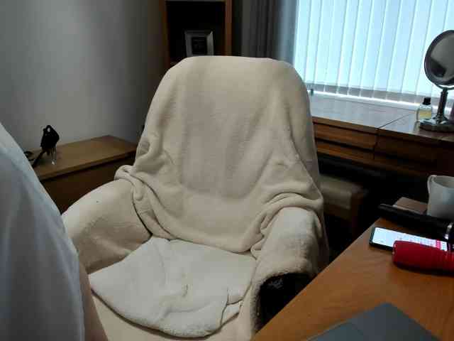 Victoria68xx webcam