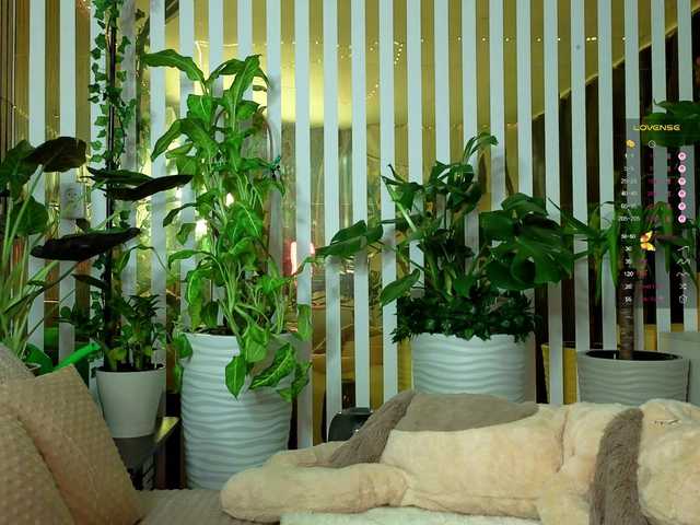 Vai a chattare su -Violettttta- -Violettttta-