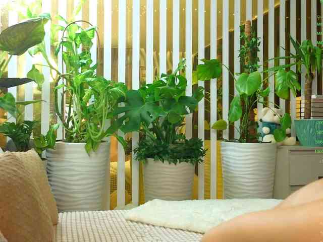 -Violettttta- webcam